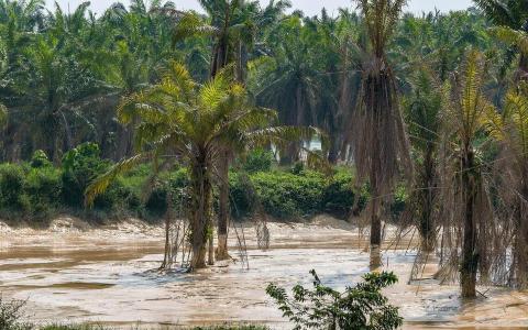 柔佛河水质已正常 公用局自来水厂恢复运作