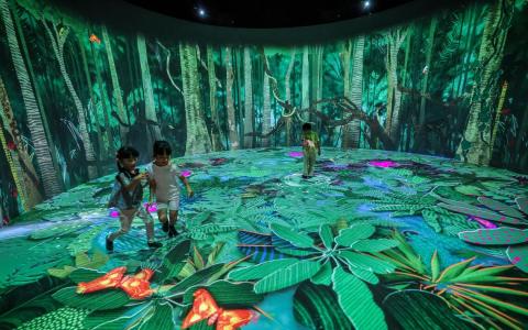 本地最大室内自然主题游乐场 11月21日开放