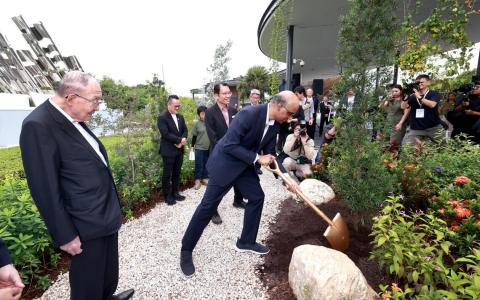 滨海湾新添“雨水花园” 公众可边游园边学环保