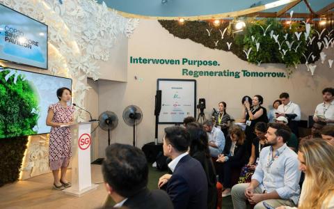 新加坡与泰国发布碳信用核算法清单 明年首季料征求项目提案