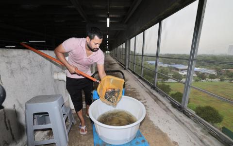 多层垂直养殖场重生 先期投产南美白对虾和石斑鱼