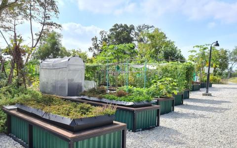 武吉坎贝拉全新租用园地开放 50花床供公众申请