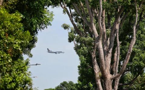 IATA：应避免重复计算可持续航空燃料 新加坡征税模式若有效值得参考