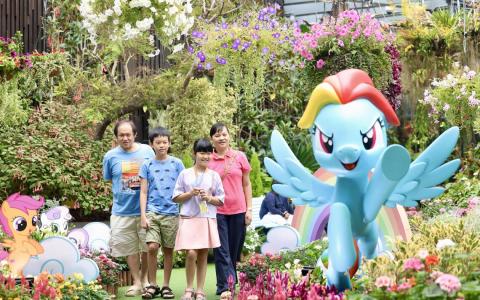 滨海湾花园送暖 低收入职总会员与小马宝莉赏花海迎马年