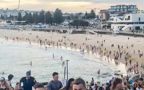 澳洲邦迪海滩发生针对犹太人恐袭 造成11死数十伤 枪手一死一重伤