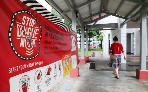 本地骨痛热症病例全年约4000起 降至2018年来最低  　