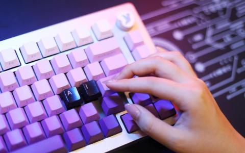 调查：人工智能冲击入门级员工就业 逾半本地企业拟减聘或停招