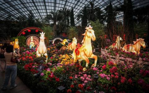 滨海湾花园农历新年花卉展“春花盛开之骏马奔腾”即将展出，花灯和造景由工匠亲手打造，八匹骏马仿佛在江南园林中奔腾。（曾坤顺摄）