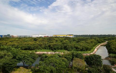 实龙岗河一带发展计划引绿地保护争议 陆交局将在施工时采必要措施