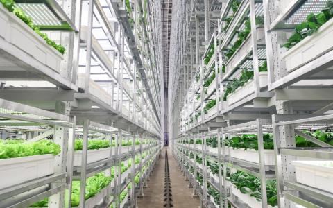 政府将为农场提供更多援助 详情3月公布