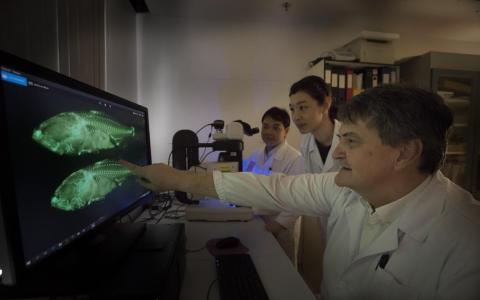 国大建新楼推动水产养殖等研究 料2027年完工启用