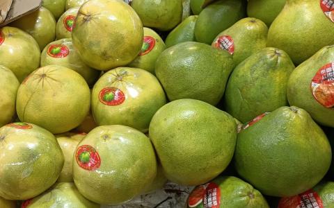 柚子又称香柚、文旦、香栾等，是常绿植物，主要产于温暖潮湿地区，如东南亚或中国南方。（作者提供）