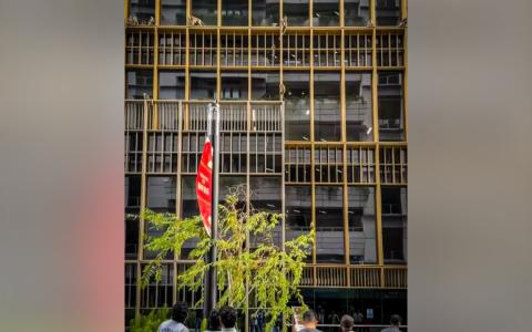 20只猴子结群攀爬榜鹅数码园区商业楼 公众忧侵扰人类