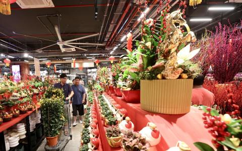 随着新年脚步逼近，年花的买气逐渐升温。受访商家反映，造型精美、可直接摆放或送人的小型盆景今年销量较好。（陈斌勤摄）