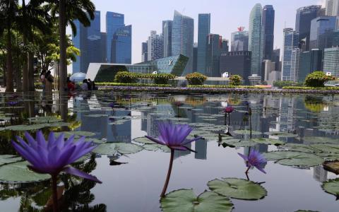 AI投资前景强劲 我国上调今年经济增长预测到2%至4%