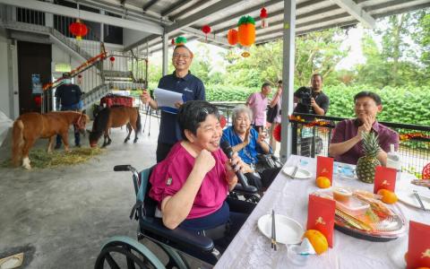 国家发展部长徐芳达（右一）与六家职总保健合作社养老院的20名年长者，在大年初四的新春聚会上，与疗愈马匹互动，共度佳节。（吴先邦摄）