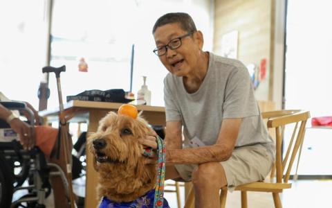 看到黄金贵宾犬贝黎来到雅西西慈怀病院日间护理中心，头上还顶着一个拜年柑， 81岁的吴亚弟被逗得十分开心，轻抚着狗儿的头，直呼狗儿很乖。（特约李姿仪摄）