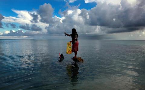 研究：太平洋三分一鱼体内有微塑料 含量因地而异