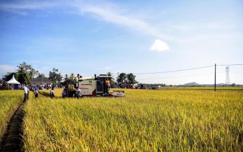 中东冲突不影响马国粮食安全 干旱天气或冲击稻米产量