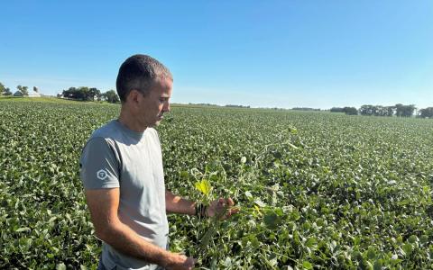 大豆采购料成习特会焦点 分析：特朗普中期选举欲巩固农民选票