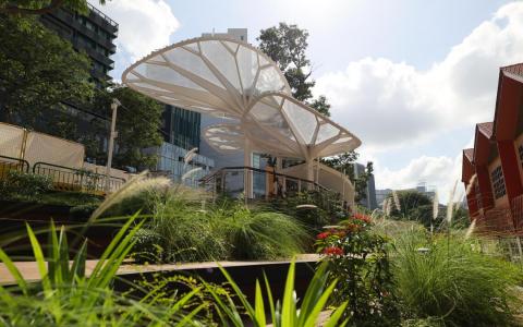 传统建筑焕发新生 淡马锡店屋绿色实践