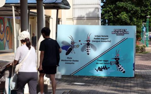 环境局与学者建预测模型 可提前两月预警骨痛热症疫情