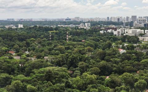 分析：柔佛王室荷兰路地价料超38亿元 可建多达200栋有地住宅包括优质洋房