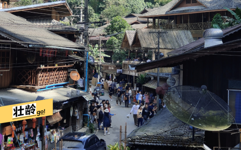 游客多的时候，即便车难行，在泰囧村大街上仍听不到半点喇叭声。（陈默汎摄）