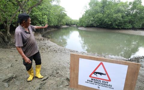 郭锦强第一次目击鳄鱼出没是在红树林深处，公园局已在河岸边设立警示牌。（郑一鸣摄）