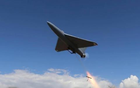 中俄行使否决权 霍尔木兹海峡决议案未获通过