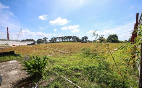 义顺美通弄EC地段吸引三方竞标 最高竞标尺价732元