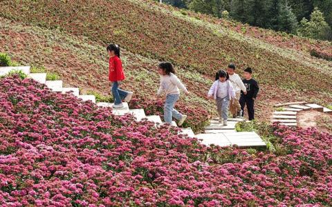 中国10个省份全省推行中小学春秋假，各地春假主要和清明假期或五一假期结合。图为4月4日清明期间，放假的小朋友在湖南省衡东县洣水镇踏青赏花。（新华社）