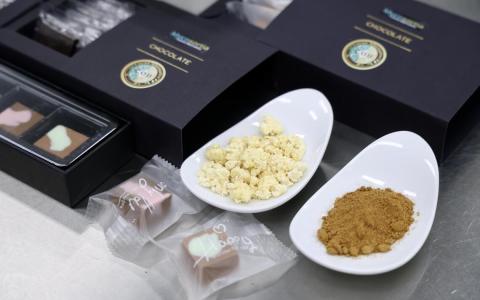 豆渣与菇类制出巧克力 本地研发可可替代品