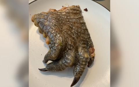 自助餐台上提供的完整鳄鱼掌，给食客黄资玲带来视觉上的冲击。（受访者提供）