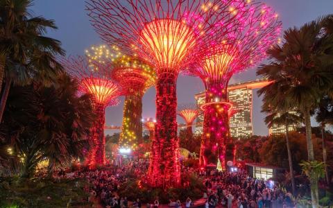 滨海湾花园荣登猫途鹰世界第三景点 旅游业者反应不一