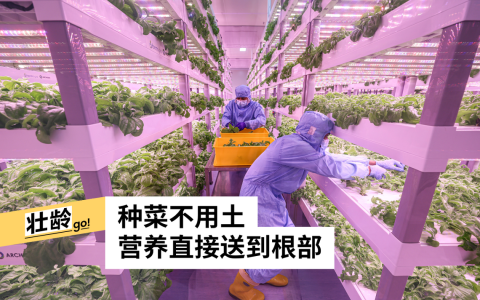 （档案照片）