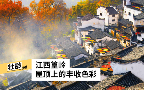 （婺源篁岭官网）