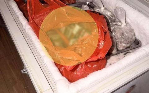 冷冻柜藏烟 裕廊东食肆被查获740包漏税烟