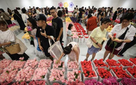 在滨海湾花园IMBA艺术馆举行的毛绒花市于2026年6月10日开始，共推出50多款绒花，每名参观者可免费获得一朵。毛绒花包括卓锦万代兰、口红花、姜花等八款本地限量版，开展时一度引发访客入场争抢。（关俊威摄）