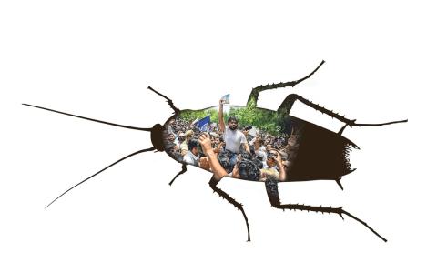 （合成图／蔡新友）