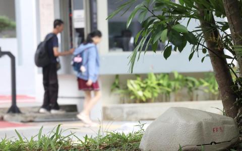 树下“石头”长眼睛?四美试点用科技监测鼠患