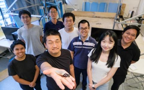 给半机械蟑螂穿“潜水服” 以往两分钟缺氧现能水下搜救三小时