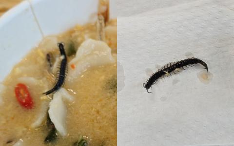 一名本地女子在打包的面粉粿汤里发现一只黑色的死蜈蚣。（受访者提供）