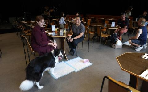 7月9日，香港首批获批许可的餐厅，正式实施容许顾客携带狗只进入的新措施。图为香港西九龙文化区市民带着宠物狗进入获批许可的餐厅。（香港中通社）