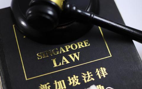 我国不同法令都阐明，不能靠“装糊涂”来脱罪。（王彦燕摄）