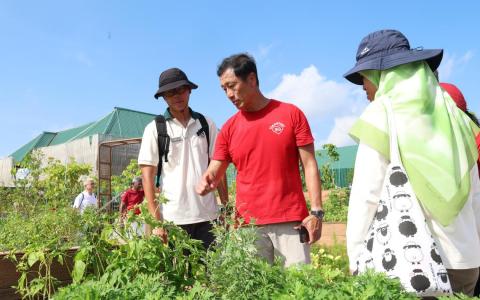 武吉坎贝拉新开五个主题花园 让居民无障碍亲近自然