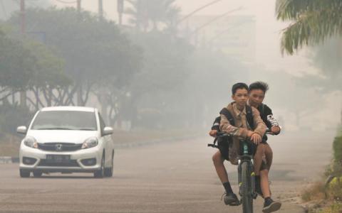 加里曼丹省首府帕朗卡拉亚的空气污染指数昨日达到500点的“危险水平”。（路透社）