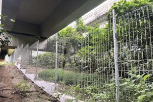 公园局数据显示，实施隔离围栏和种植树篱等措施后，路杀事件数量从2023年的六起，减少到2024年的两起。（公园局提供）