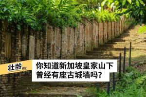（龙国雄摄）