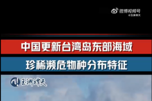 中国大陆央视旗下媒体《玉渊谭天》星期一上传视频，指大陆自然资源部在台湾以东海域开展海洋环境调查后，更新了该海域珍稀濒危物种的分布特征。（取自《玉渊谭天》微博视频）